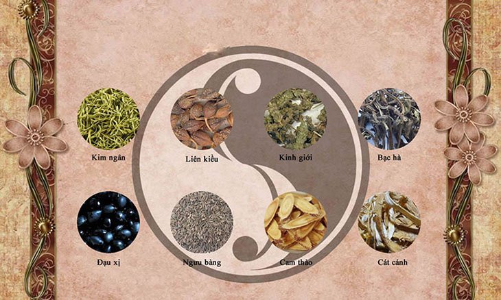 Bài thuốc Ngân kiều tán gia giảm (Ôn bệnh điều biện)