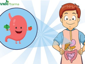 NHỮNG CÁCH ĐƠN GIẢN GIÚP BẢO VỆ HỆ TIÊU HÓA CỦA TRẺ KHỎE MẠNH