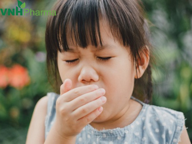 Trị dứt điểm ho giao mùa hạ sang thu