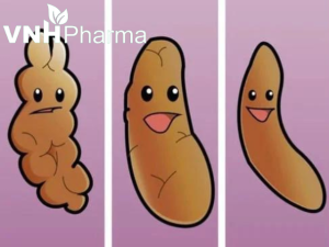 Phân tạo khối khô rắn, sần sùi là dấu hiệu của táo bón ba mẹ đừng lo